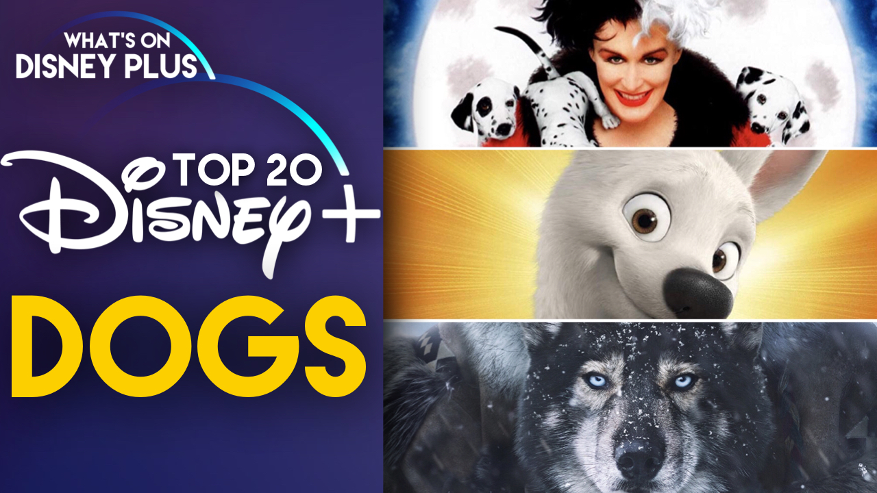 Top 20 “Dog” Movies & Shows Available On Disney+ – What's On