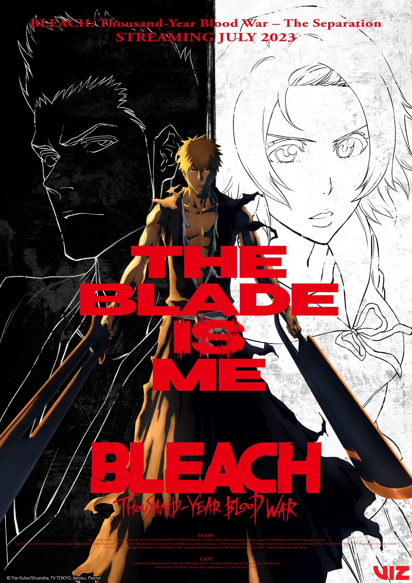 Bleach Animated World - Crunchyroll vs Disney See the difference