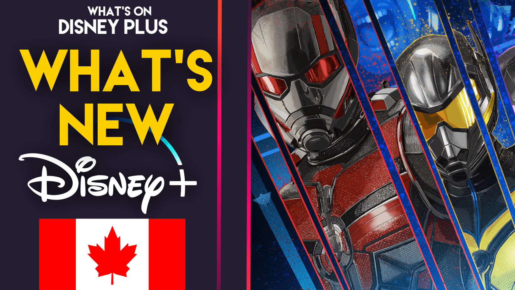 What's New On Disney+  Ant-Man And The Wasp: Quantumania (Canada) – What's  On Disney Plus
